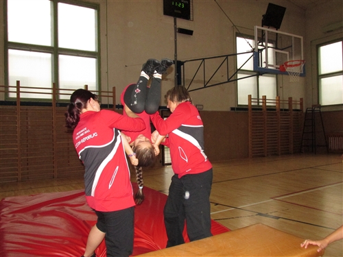 Obrázek v galerii
